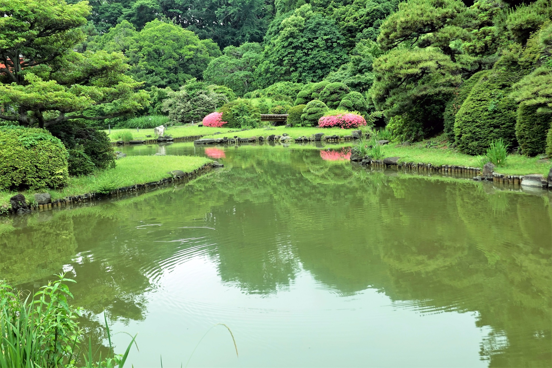 すべての花の画像 ベスト日本庭園 壁紙 パソコン