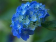 RndList[3]