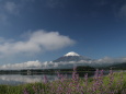 6月の富士山に雪