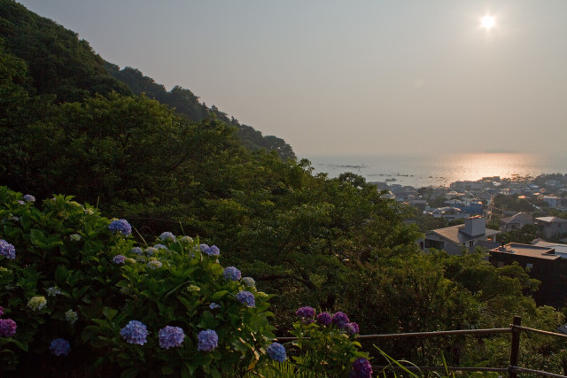 鳥居の見えるあじさい公園