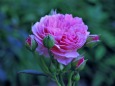 RndList[3]