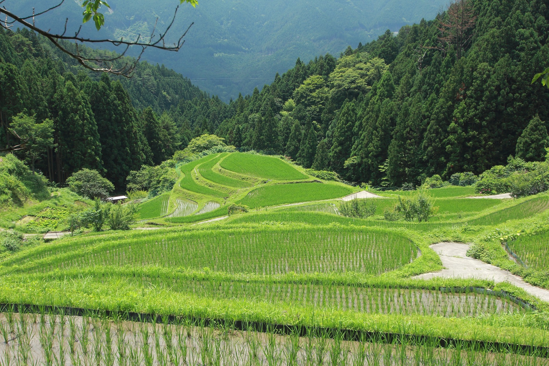 日本の風景 樫原の棚田 壁紙19x1280 壁紙館