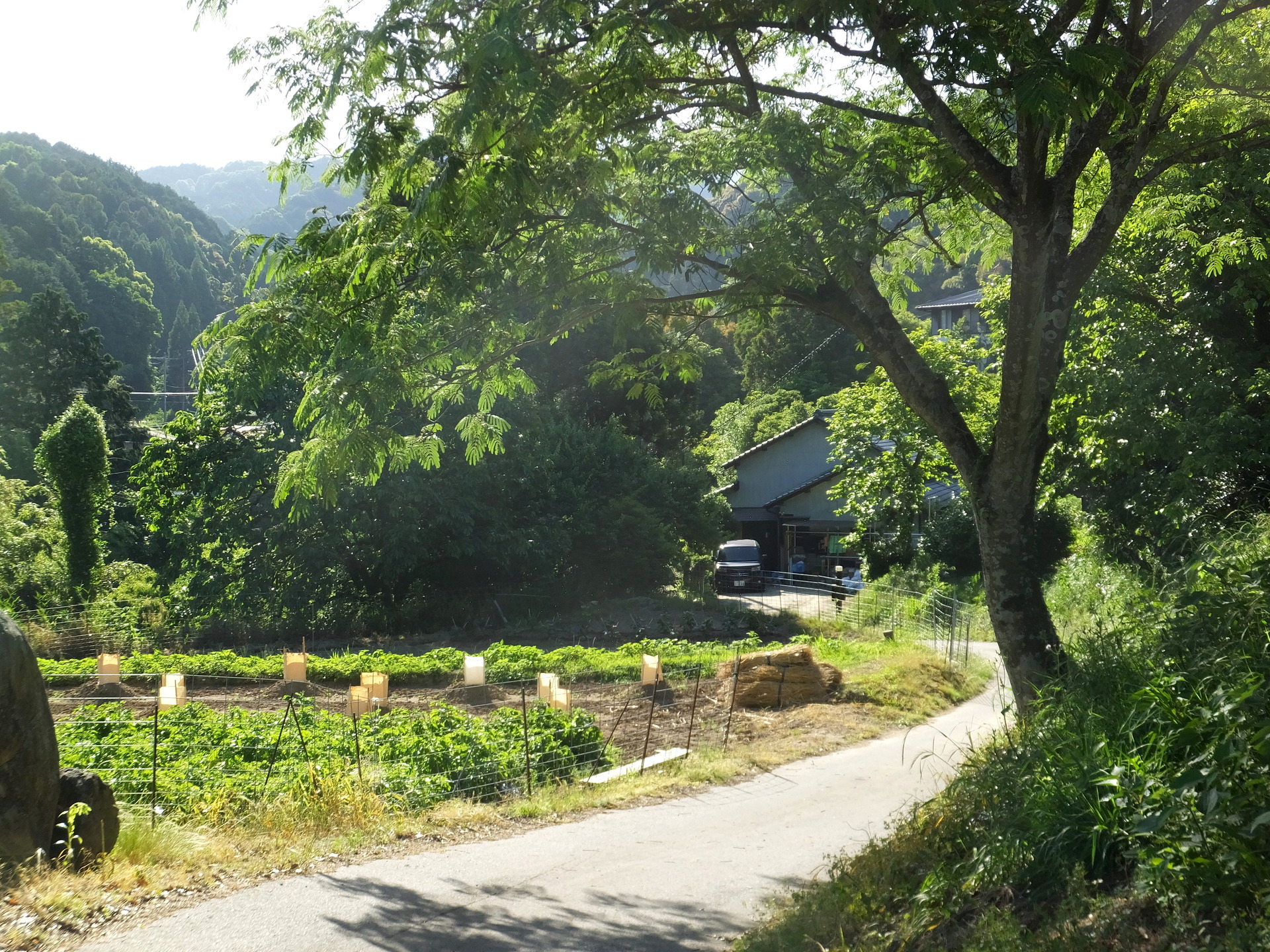 日本の風景 田舎道 壁紙19x1440 壁紙館