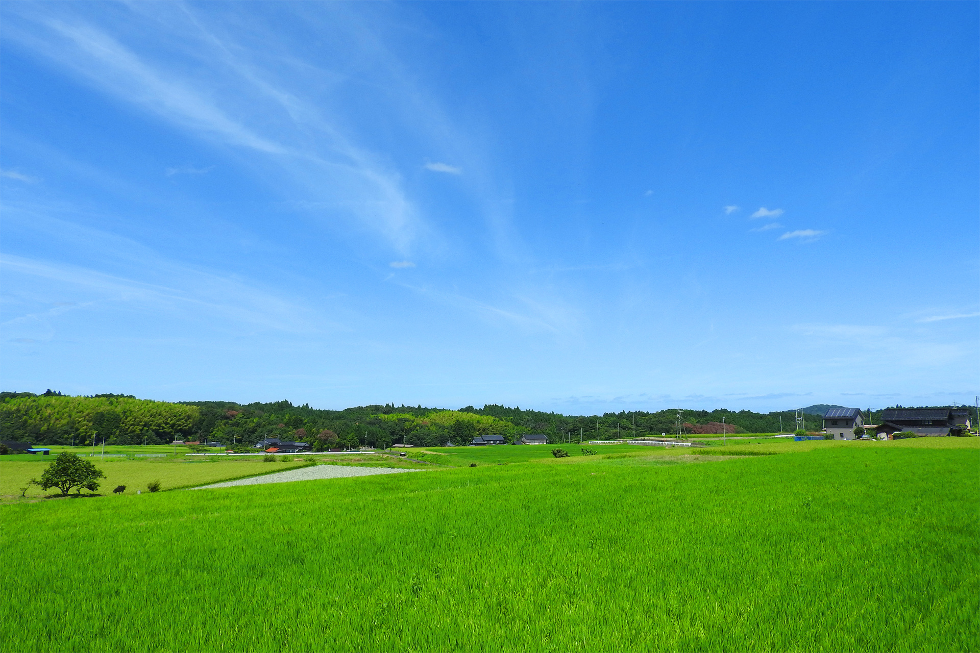 日本の風景 夏 田園 大山山麓 壁紙1920x1280 壁紙館