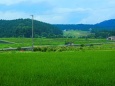 坂谷の田園風景