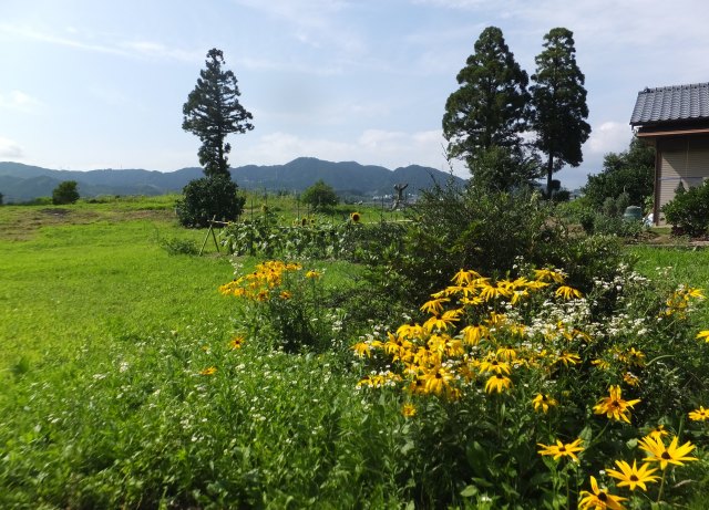 梅雨晴れの丘