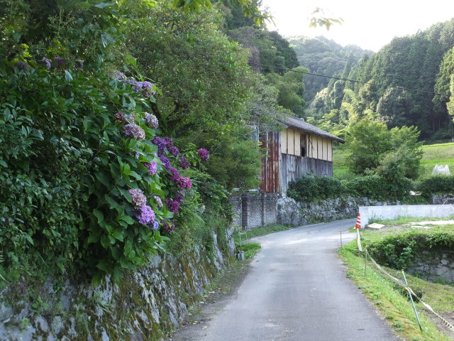 田舎道