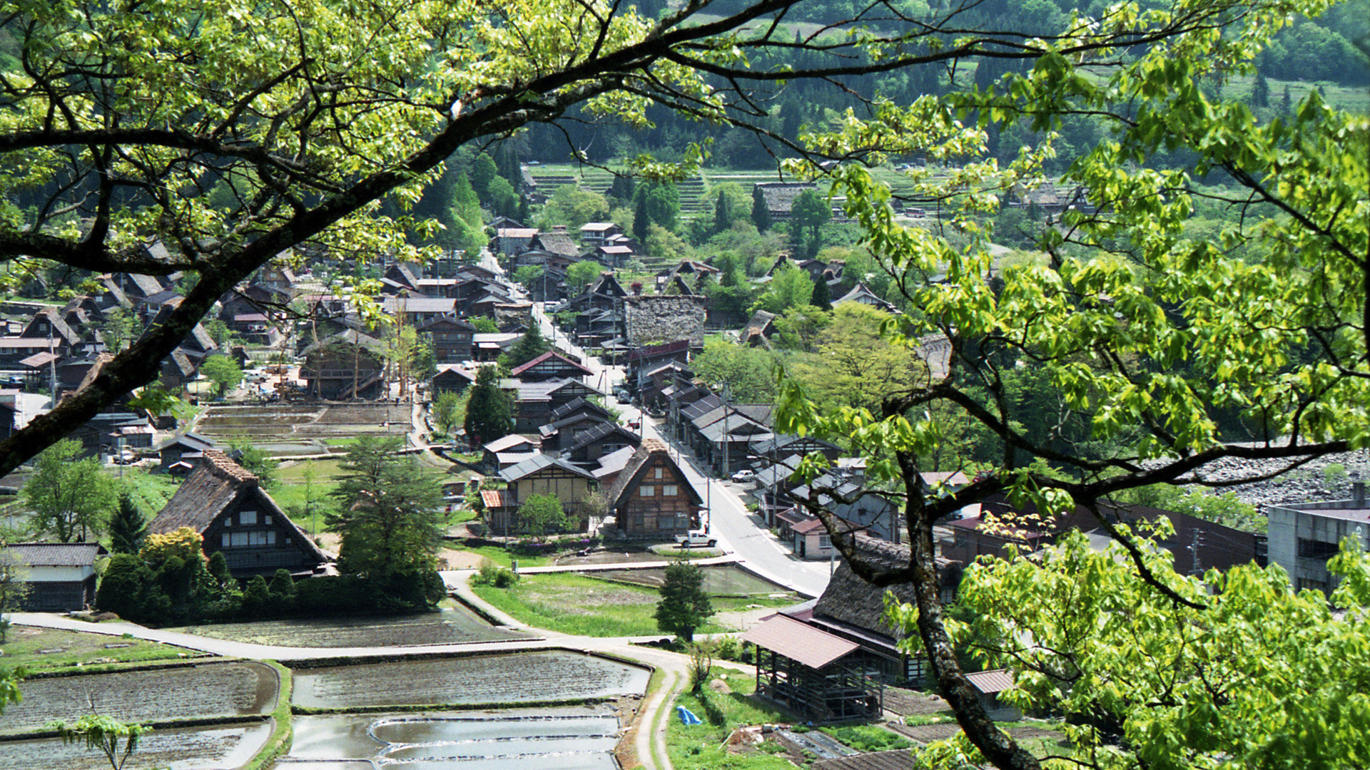 日本の風景 白川郷合掌集落 壁紙19x1080 壁紙館