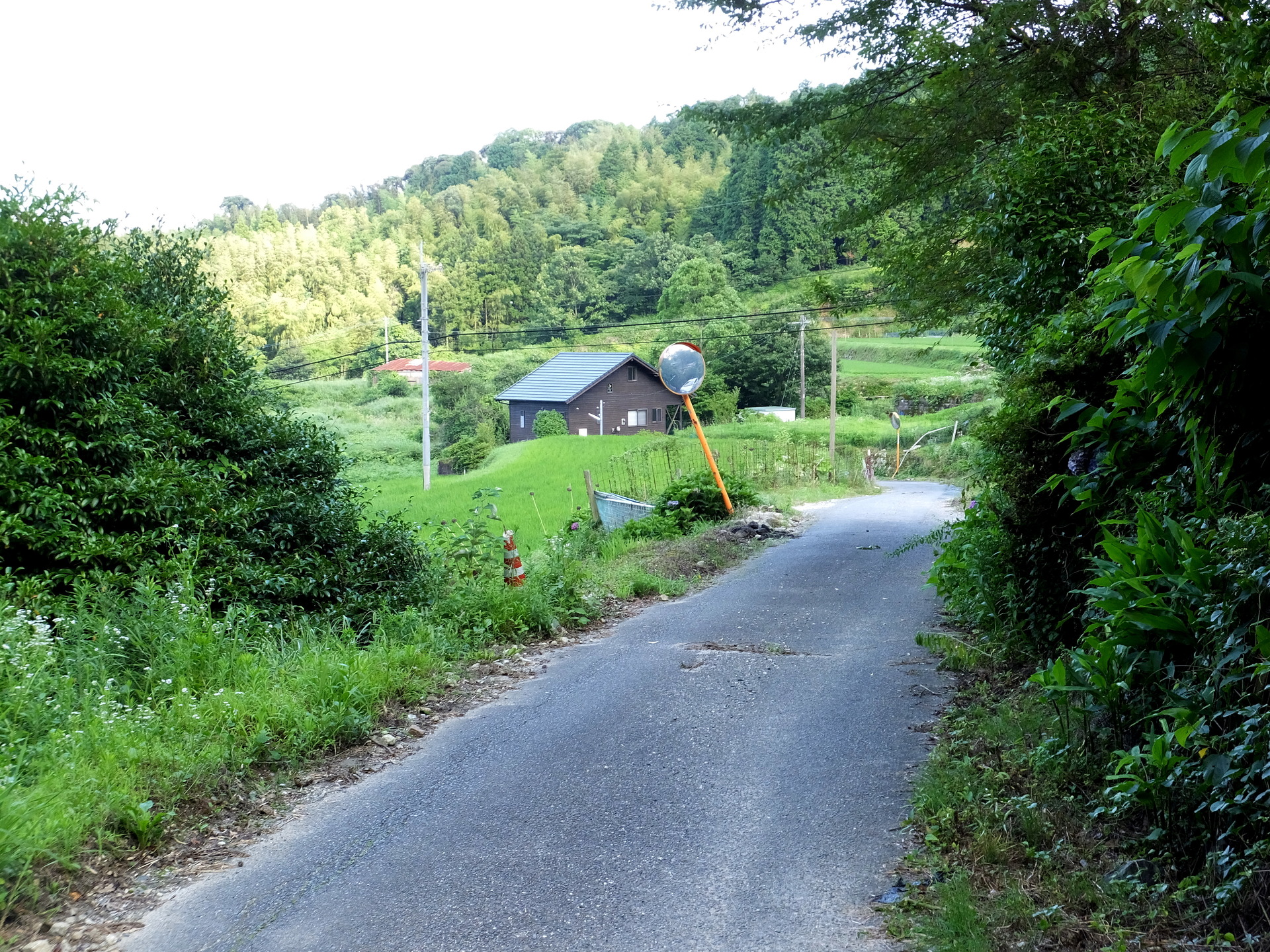 日本の風景 田舎道 壁紙19x1440 壁紙館