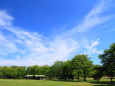 百合が原公園の夏