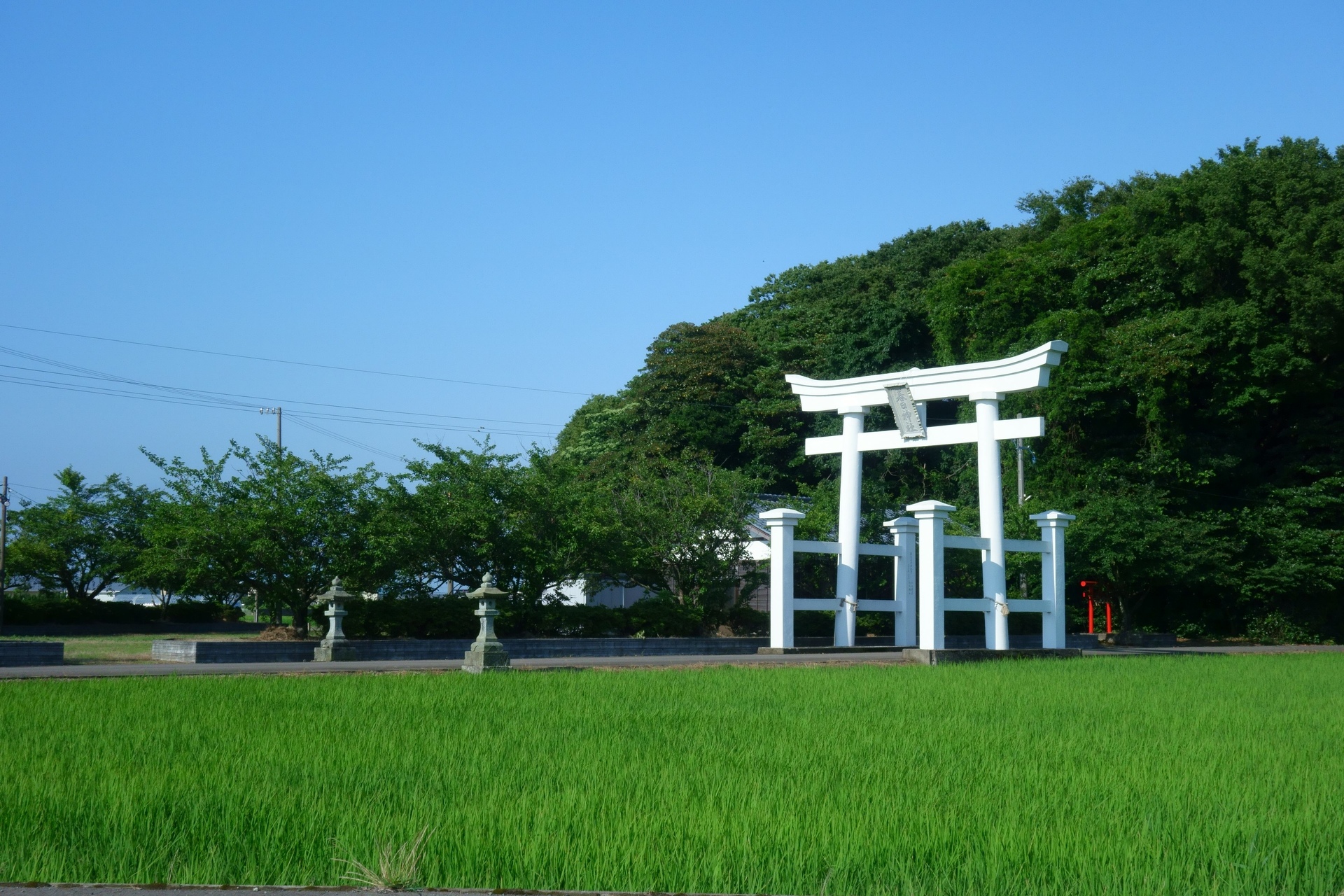 日本の風景 田んぼの中の白い鳥居 壁紙19x1280 壁紙館