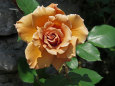 RndList[3]