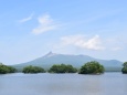 夏の日の大沼公園