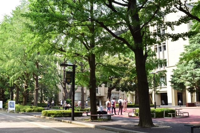 青山学院大学キャンパス