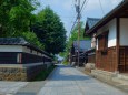 夏、寺町通りの風景