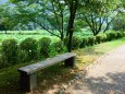 花蓮公園のベンチ