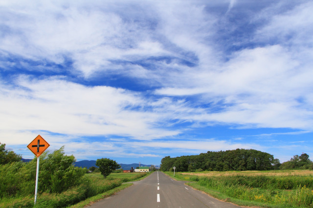 夏の道～石狩平野