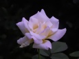 RndList[3]