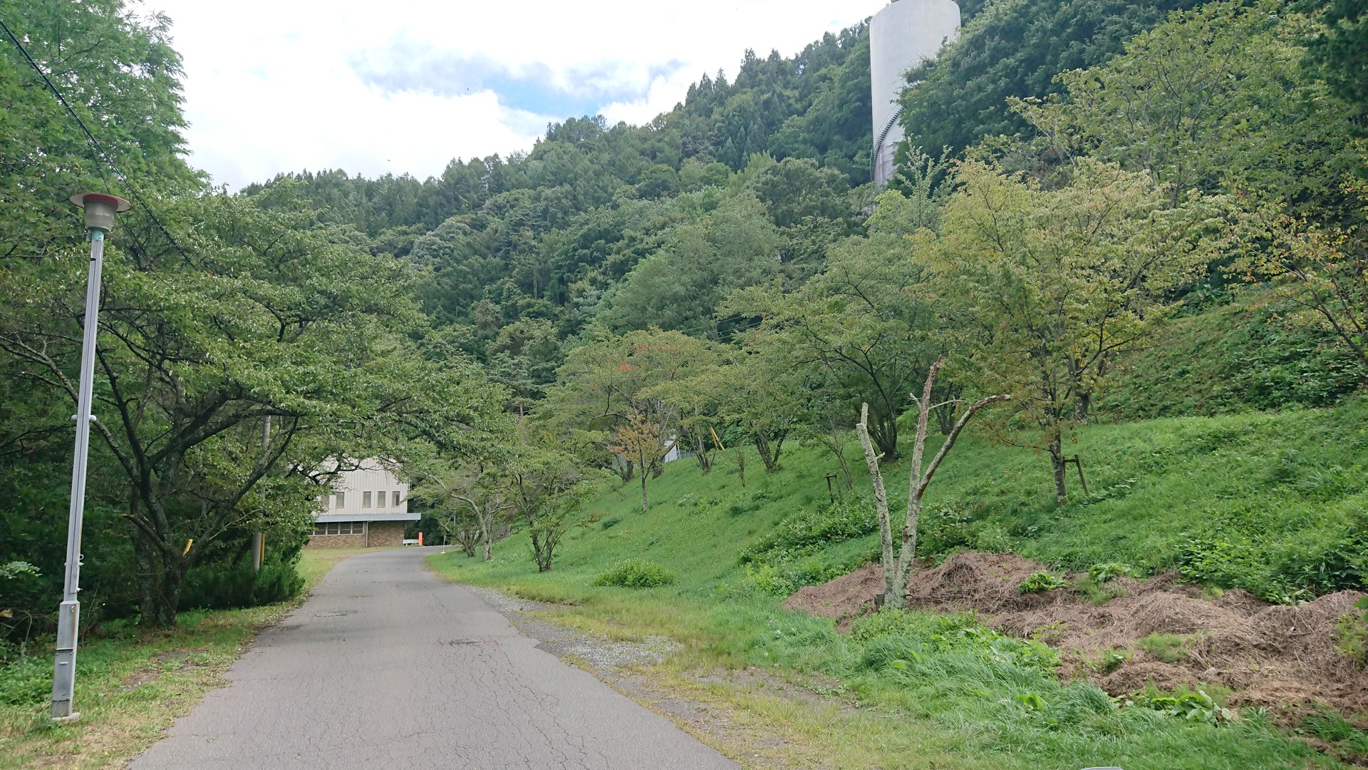 日本の風景 壮大な魅せる緑 壁紙1920x1080 壁紙館