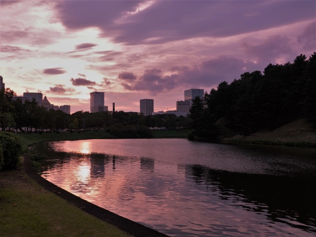 桜田濠の夕景