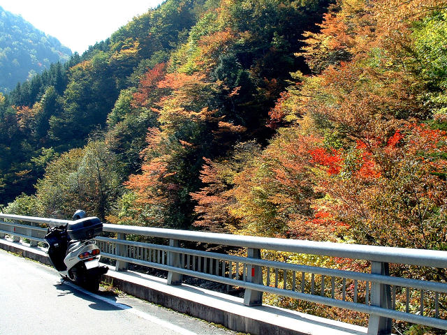 飛騨の宮川上流