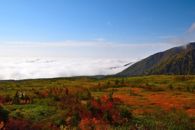 弥陀ヶ原の紅葉