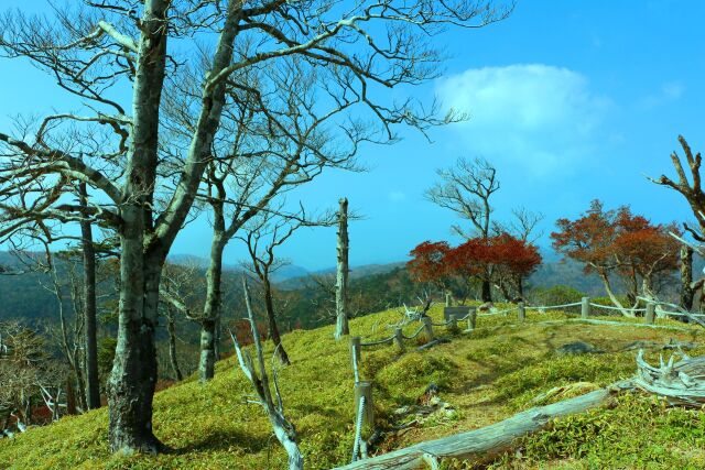 大台ケ原10月山頂