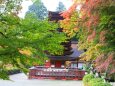 初秋の談山神社
