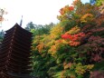 初秋の談山神社