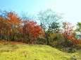 大台ケ原10月紅葉