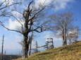 大台ケ原10月山頂