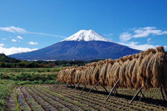 富士山雪化粧
