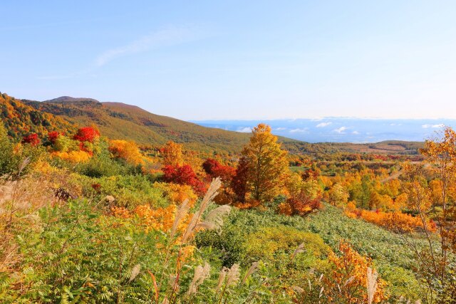 八幡平10月紅葉