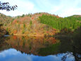 紅葉のダム湖