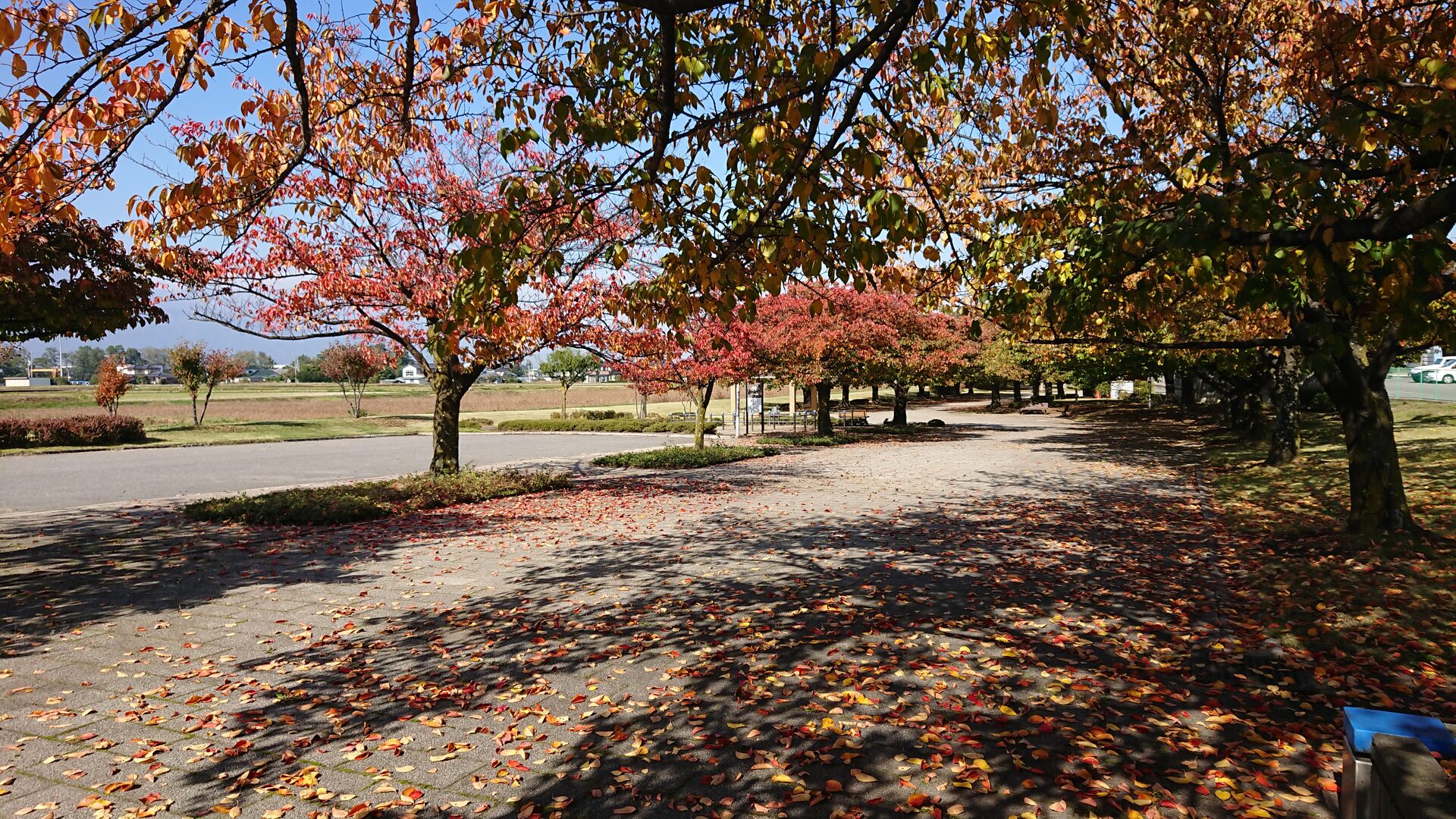 日本の風景 信州松本の紅葉 壁紙19x1080 壁紙館