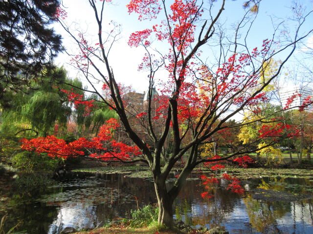 札幌は晩秋の候