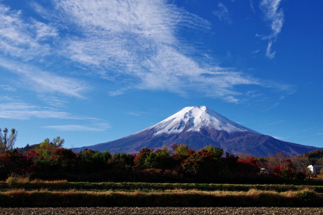 晩秋の富士山