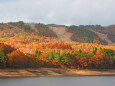 湖畔の森の紅葉