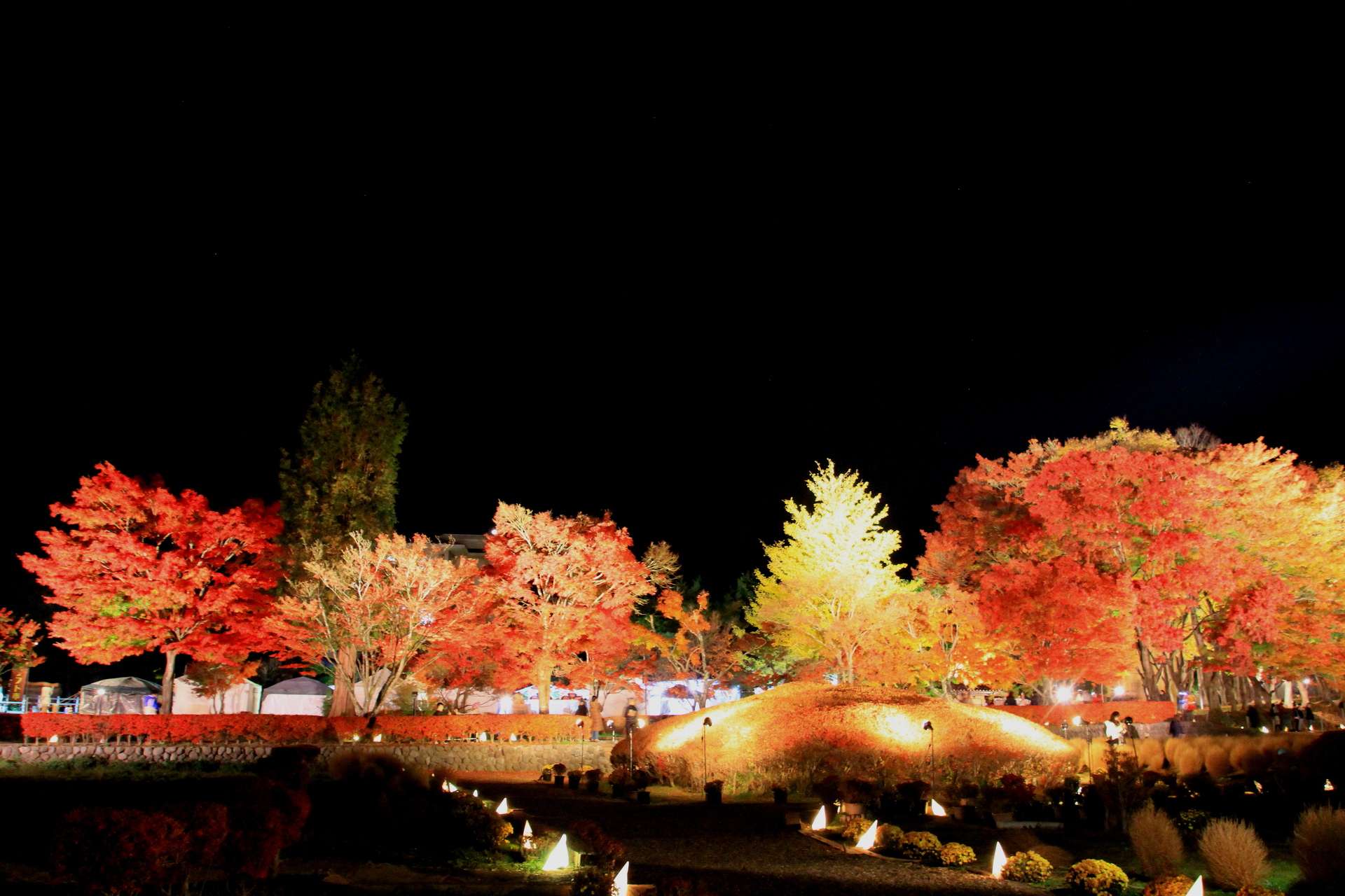 夜景 花火 イルミ 河口湖もみじ祭り 壁紙19x1280 壁紙館