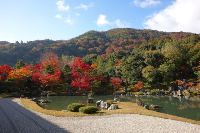 嵐山 天龍寺の紅葉