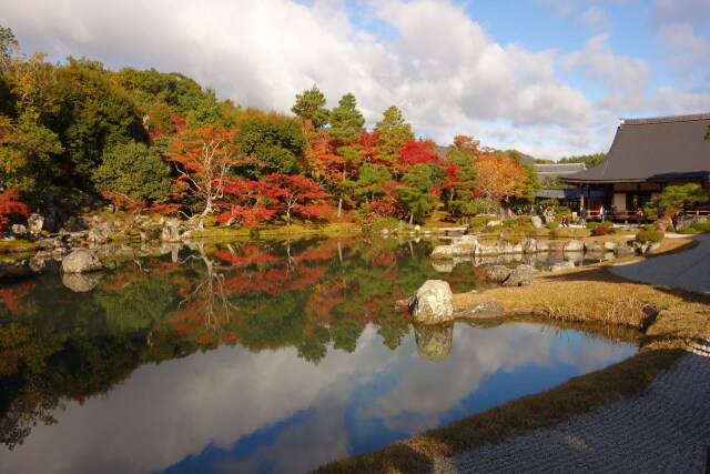 嵐山 天龍寺の紅葉