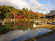 嵐山 天龍寺の紅葉