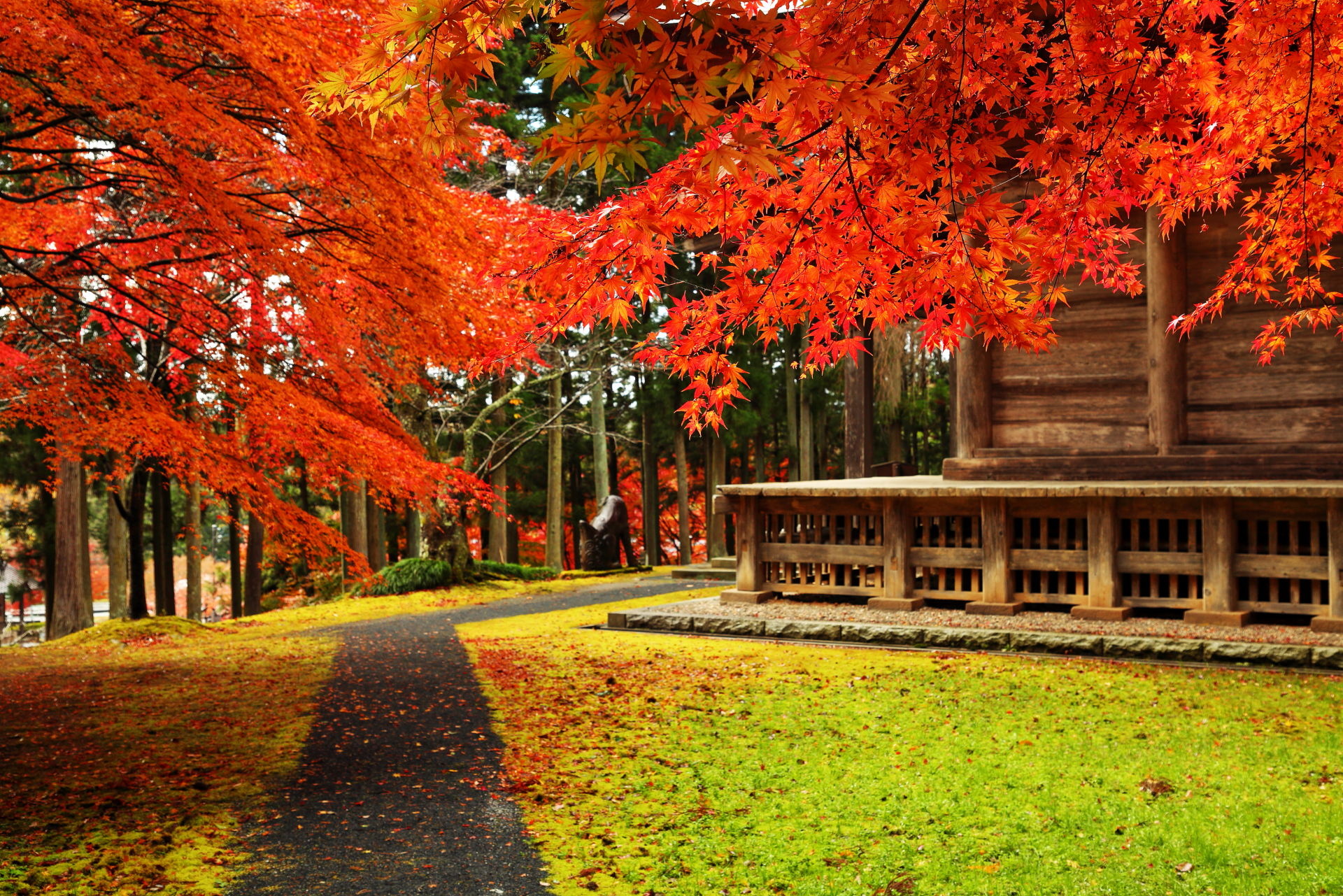 日本の風景 秋の古刹 壁紙19x1281 壁紙館