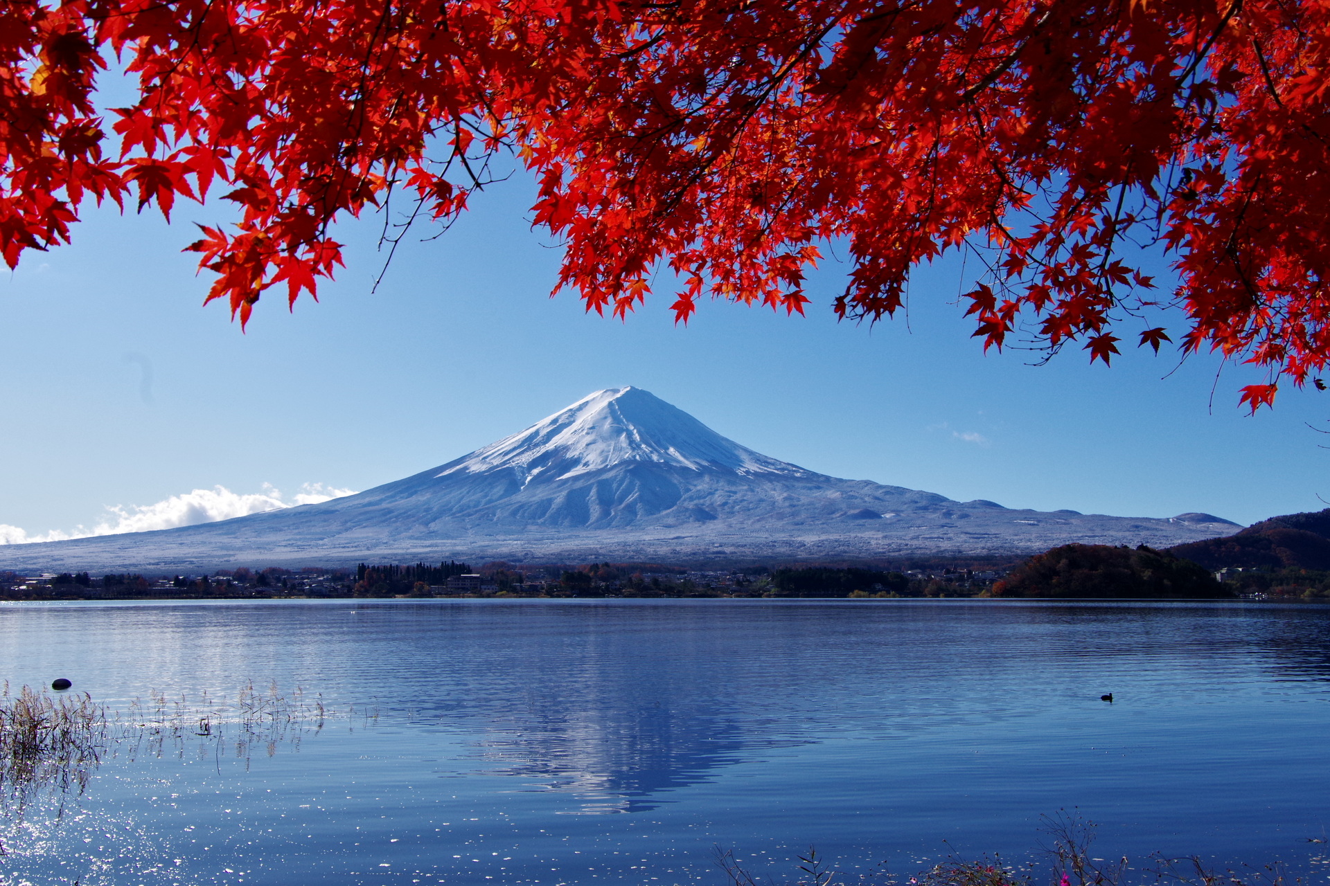 日本の風景 紅葉と富士山 壁紙19x1280 壁紙館