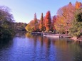 井之頭公園の紅葉風景