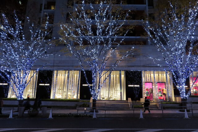 けやき坂のイルミ