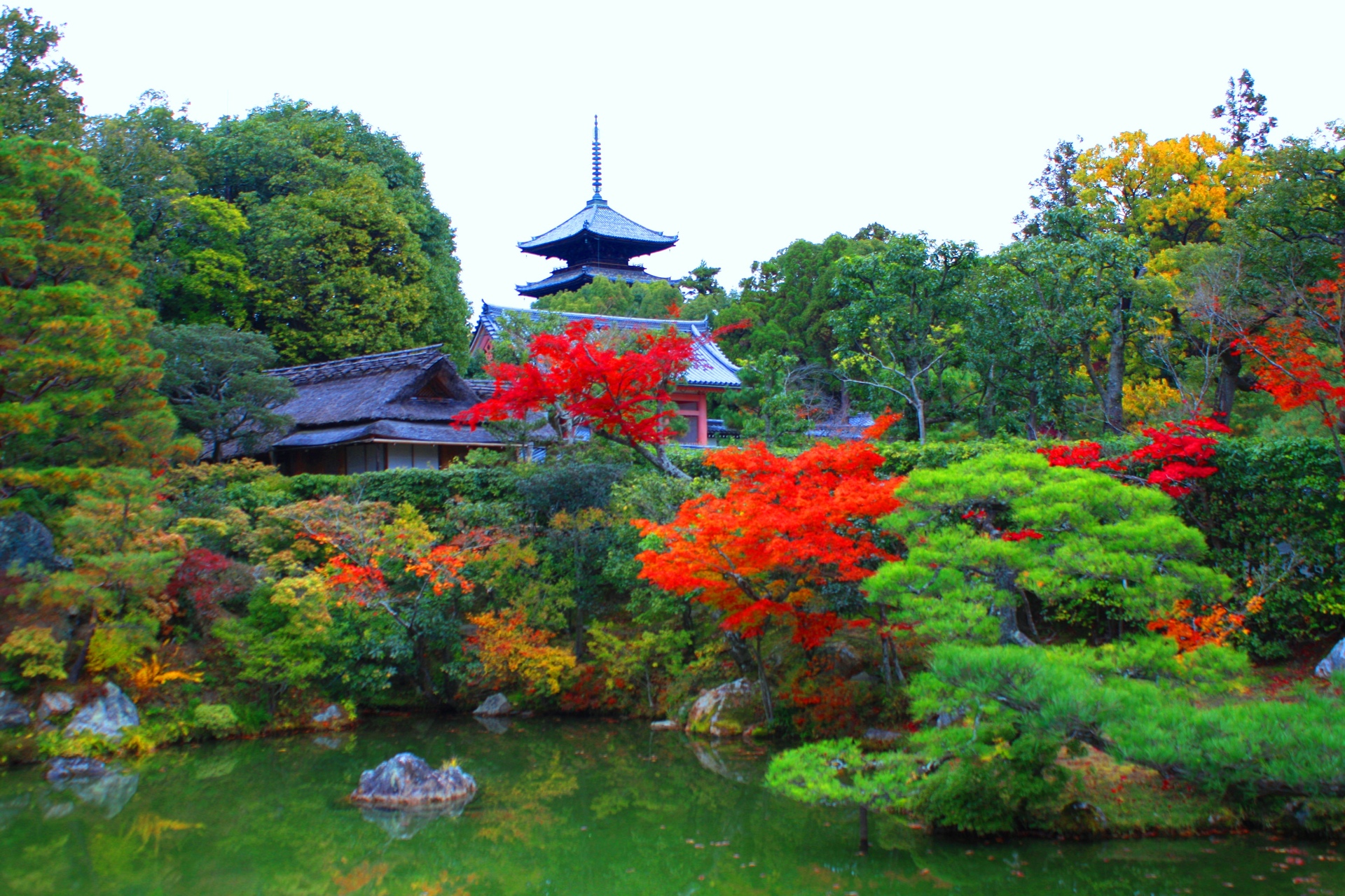 日本の風景 京都紅葉 壁紙19x1280 壁紙館