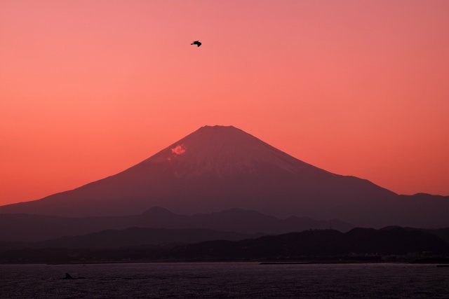 赤富士と鳶