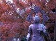 長谷寺の紅葉