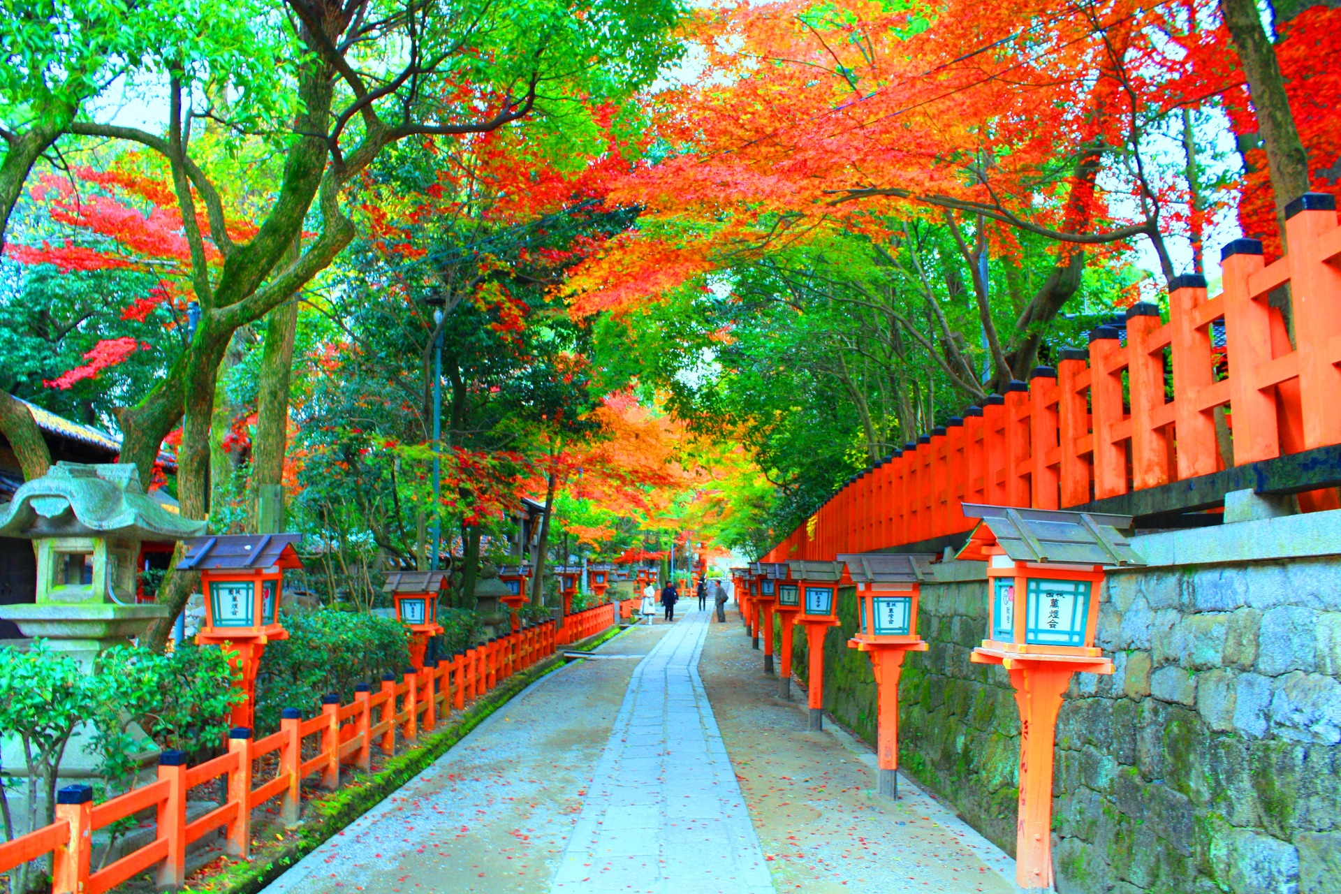 日本の風景 京都紅葉 壁紙19x1280 壁紙館